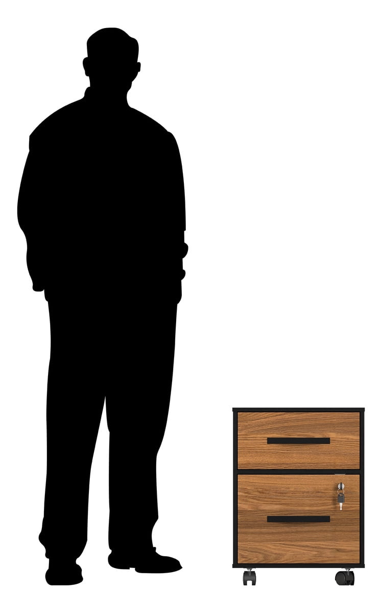 Essential 2-Drawer Letter-Size Filing Cabinet, One Drawer with Lock, 4 Wheels, Playcon Textured Laminate Top