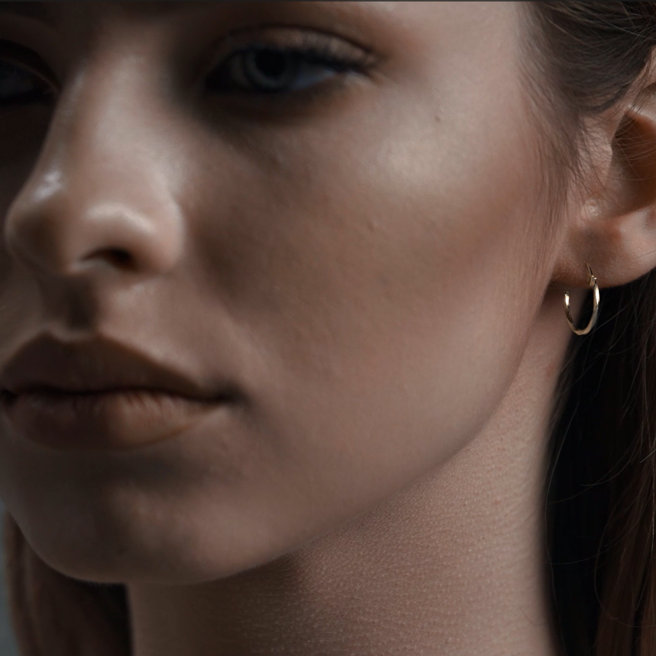 Torsal Style Diamond 14k Gold Hoop Earrings