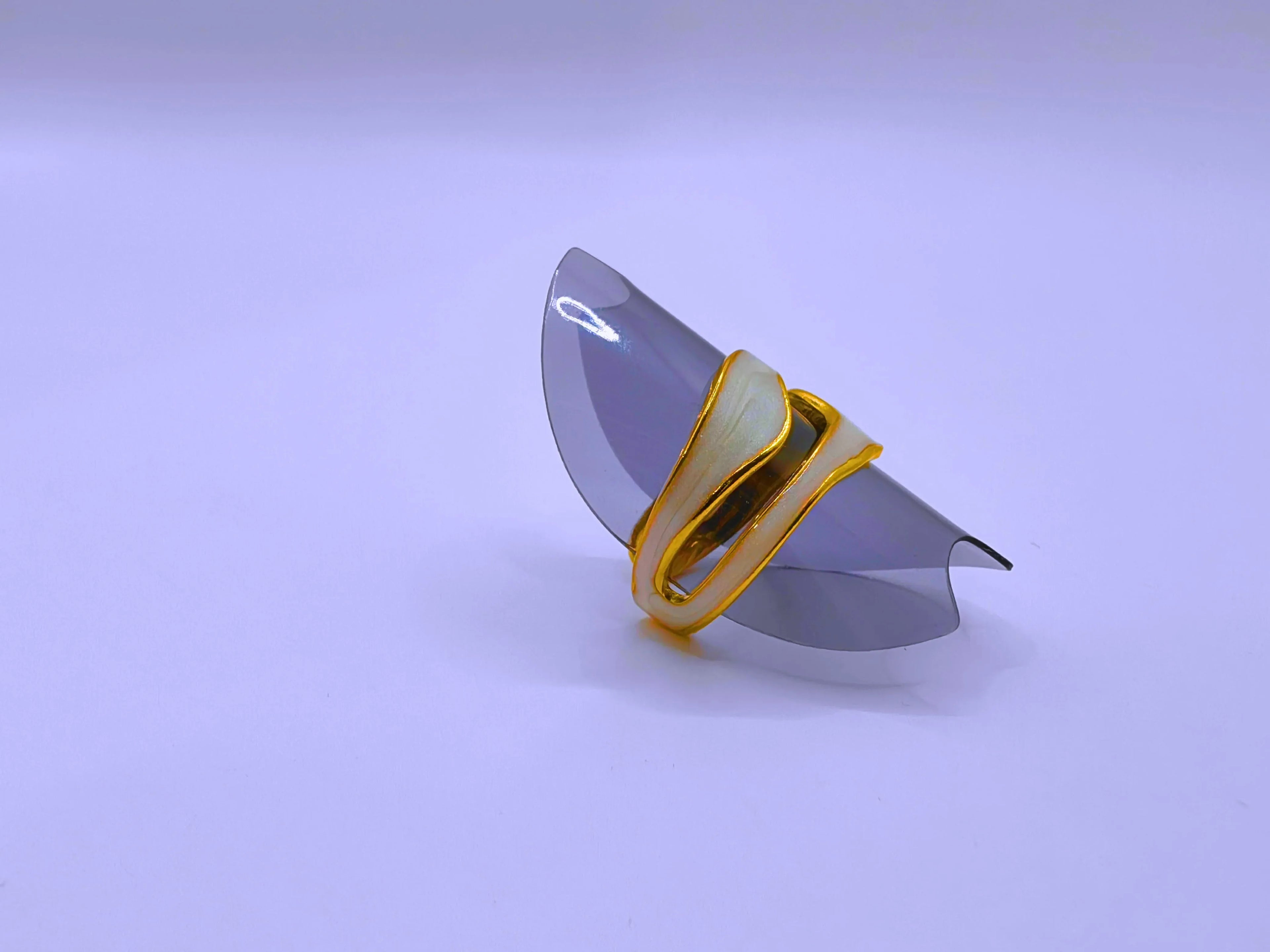 Anillo Acero Inoxidable Epoxica Negra Chapa Oro 10k Calenbi