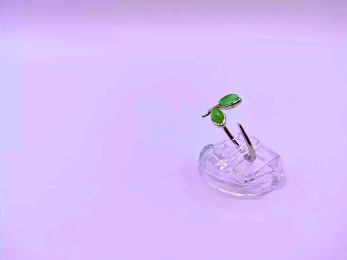 S925 Sterling Silver Ring "Plant Sprout" Cubic Zirconia Imitation Jade Adjustable Calenbi